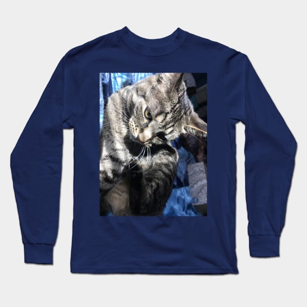 Serious Tabby Long Sleeve T-Shirt by Amanda1775